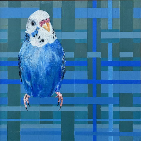 Blue Boy Blue Boy by Jennifer Bain is a vibrant contemporary budgerigar painting featuring a bright blue bird against a geometric plaid background. Acrylic on wood panel, 10" x 10" (11.5" x 11.5" framed). Original artwork available for $1,400.