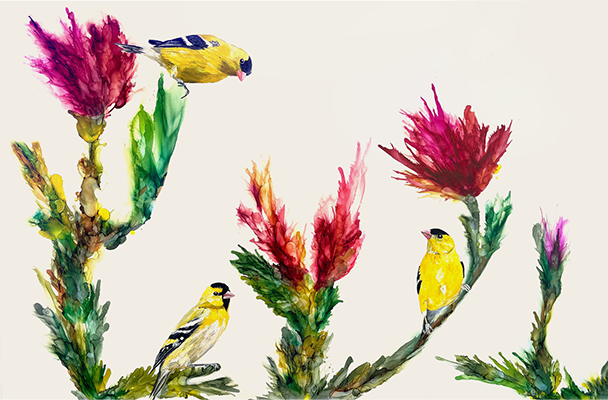 Desert Goldfinch Clan a painting of desert goldfinches by Jennifer Bain