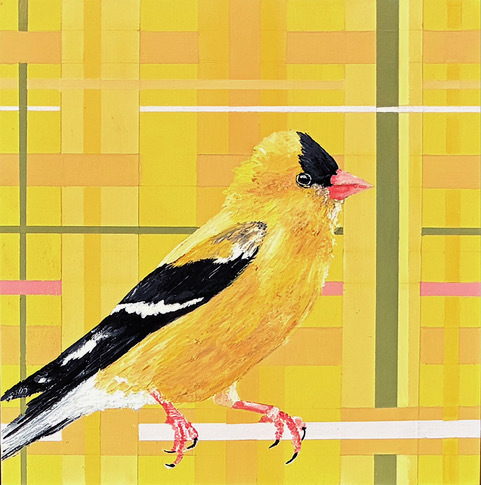 Blue Boy Blue Boy by Jennifer Bain is a vibrant contemporary budgerigar painting featuring a bright blue bird against a geometric plaid background. Acrylic on wood panel, 10" x 10" (11.5" x 11.5" framed). Original artwork available for $1,400.